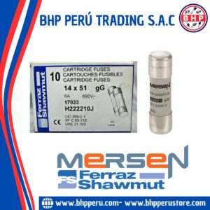 17023 MERSEN / FERRAZ SHAWMUT FUSIBLE CERÁMICO INDUSTRIAL  (GG) 6A - 690V. 14X51MM
