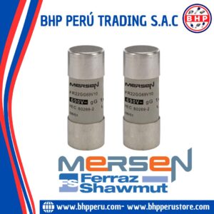 FR22GG69V10  MERSEN / FERRAZ SHAWMUT FUSIBLE CERAMICO INDUSTRIAL (GG) 10A - 690V. 22X58MM