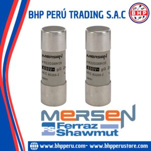 FR22GG69V20 MERSEN / FERRAZ SHAWMUT  FUSIBLE CERAMICO INDUSTRIAL (GG) 20A - 690V. 22X58MM