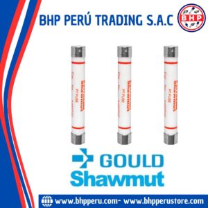 A480T2E GOULD SHAWMUT FUSIBLE MEDIA TENSIÓN 2A/4800V IR: 50.000AMP. RMS
