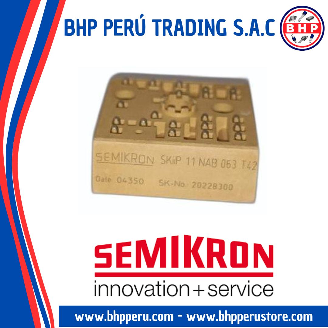 SKIIP11NAB063T42