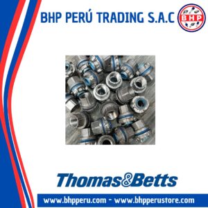 H050GRA-C THOMAS & BETTS ACCESORIO PARA CODUCTO 1/2" CON TUERCA DE CONEXION A TIERRA